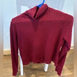 Maroon long sleeve, turtle neck crop top